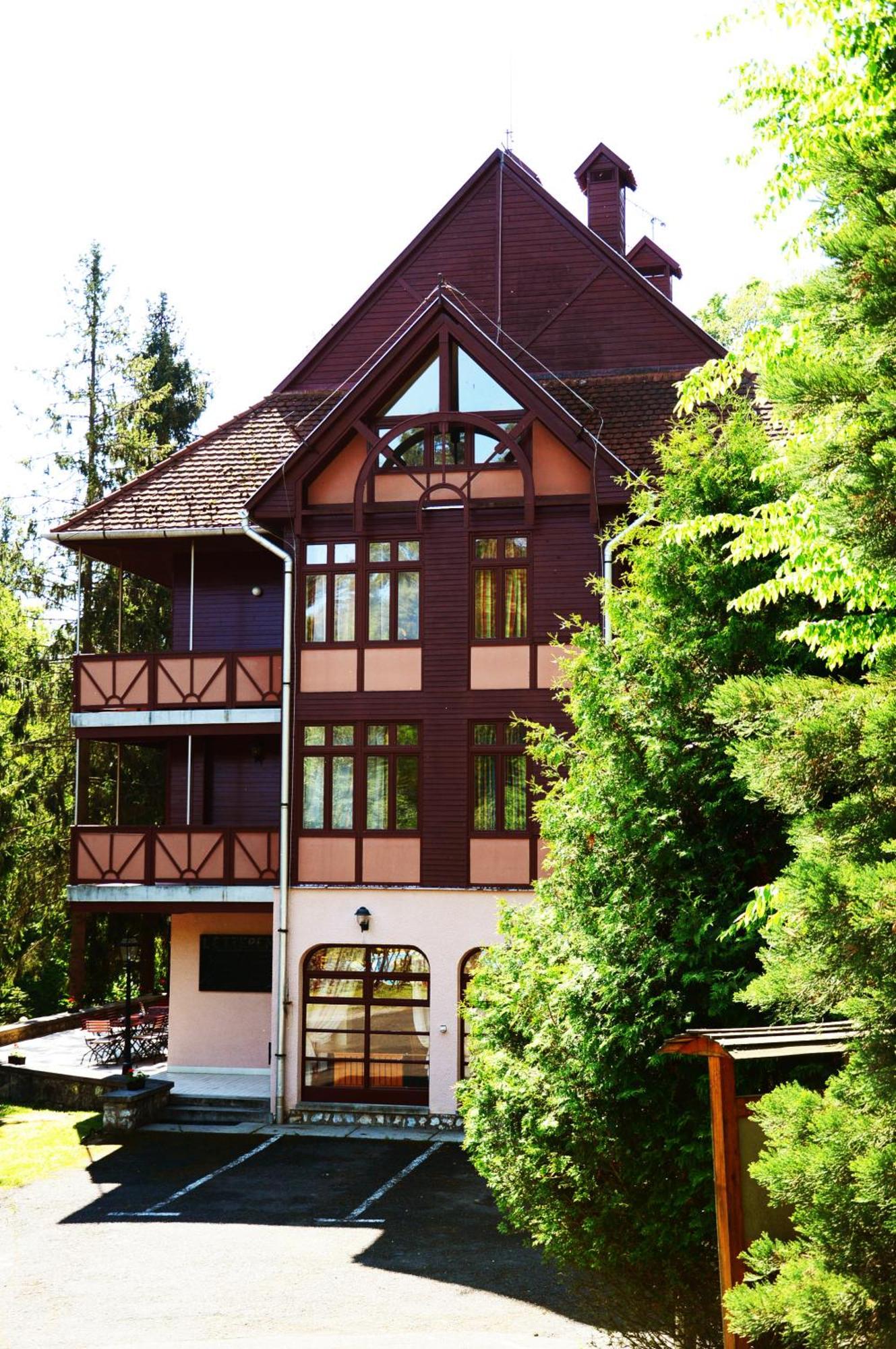 Telkibánya Ezuestfenyo Hotel מראה חיצוני תמונה