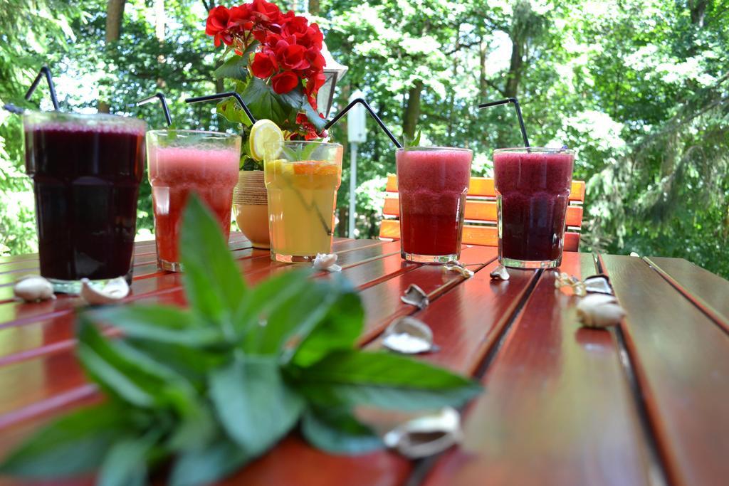 Telkibánya Ezuestfenyo Hotel מראה חיצוני תמונה