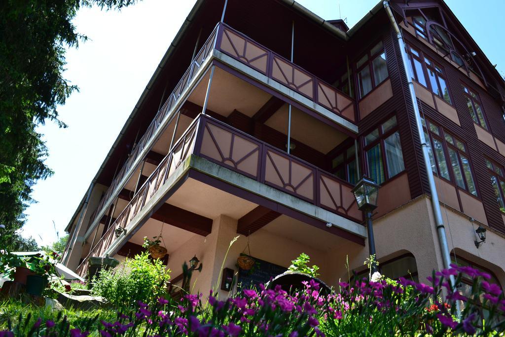 Telkibánya Ezuestfenyo Hotel מראה חיצוני תמונה