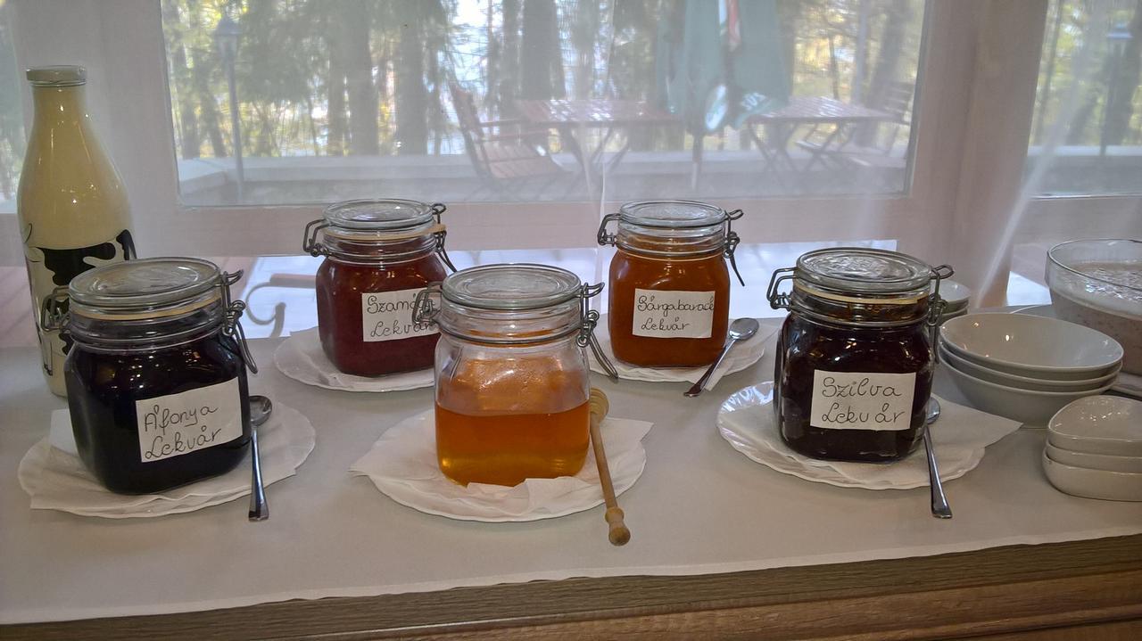 Telkibánya Ezuestfenyo Hotel מראה חיצוני תמונה